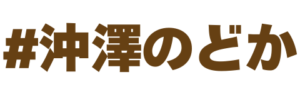 沖澤のどか