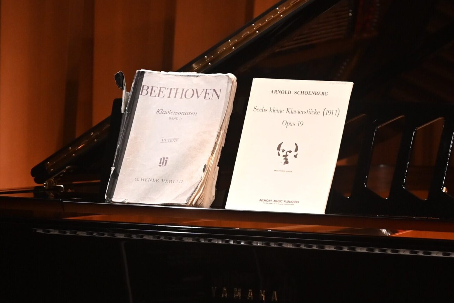 仲道郁代 ピアノ・リサイタル 音楽の哲学 記者懇親会 | レコ芸ONLINE